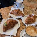 D01022 | #12박13일 유럽여행 9일차(토스카나) : 데이투어 넘나 편한 것