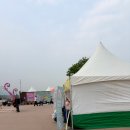 포천 펫스타 후기 한탄강생태경관단지 반려견 축제 봄가든페스타 다녀온 후기