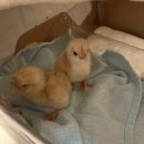 불광역9번출구 이미지