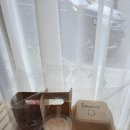 오운제주 이미지