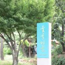 금빛유치원 네이버블로그