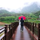 추월산이보이는집 이미지