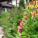 창평농장 이미지