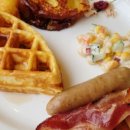 소노캄 고양 이미지