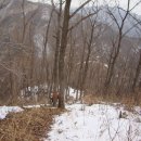 금남농장 이미지