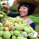 김연화농장 이미지