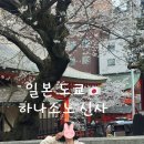 신토보리 | 일본 도쿄 신주쿠 하나조노 신사 벚꽃 시즌 방문 후기