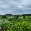 에스케이핀크스주식회사 이미지