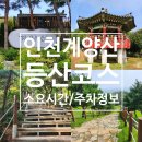 영신군 이이묘 | 인천 계양구 가볼만한곳 계양산 정상 등산코스 인천종주길 소요시간 주차정보