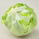 고기1통 | 🥬 양상추 추천🔥 국내산 양상추 1통 솔직 후기 (아삭함 신선도 최고)