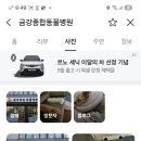 금강종합동물병원 이미지