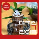 꽃샘아트 이미지