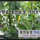 종진농장 이미지