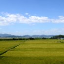 부산산업과학고등학교 이미지