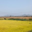 김포한강 8로 이미지