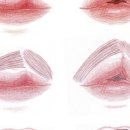 슈어스성형외과의원 이미지