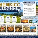 골든베이 티스토리