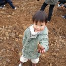 뚱딴지마을 이미지