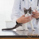 24시예담동물의료센터 이미지