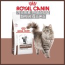 로얄종합가스 | 로얄 캐닌 캣 가스트로인테스티널 화이버 리스폰스란 무엇인가?
