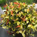 자연의집 이미지