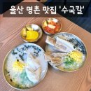 [맛집] 울산 북구 명촌 칼국수 맛집 자가제면 점심 맛집 '수국칼 울산명촌점' 솔직후기 (: