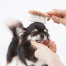 명지 수동물병원 이미지