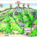 용봉산산림전시관 Daum카페