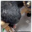 개포동물병원 이미지