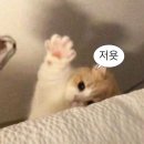 위드그린 네이버블로그