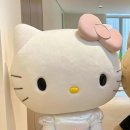 리자스킨엔바디(수성점)