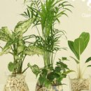 이레가든 이미지