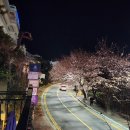 달빛거리 이미지
