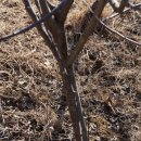 느티농원 이미지