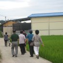 인화농장 이미지