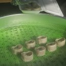 북툰카페 | 광주 신창동 안흥찐빵만두 북툰 후기