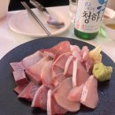 헤이든
