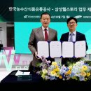 스토리다 이미지