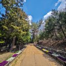 팔영산자연휴양림주차장 이미지