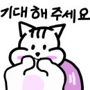 대야하이빌 2 이미지