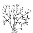 2004년 5회 조경기능사 필기 기출문제 모의고사, CBT 이미지