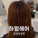 하월헤어성정두정점