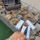 하이리코스메틱 이미지