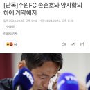 단독) 수원FC 손준호와 양자 합의하에 계약해지 이미지