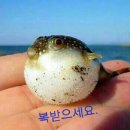 다문초등학교 이미지