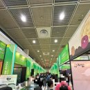 경주최문 충효각 | [삼성/코엑스] 푸드위크 코리아 2025- 줄서도 아깝지 않았던 시식존 후기