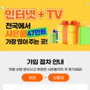 안중조약국 네이버블로그