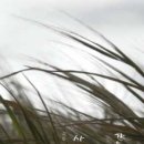 오송모아공인중개사사무소 이미지