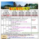 늘푸른여행사
