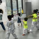 루원대호태권도 이미지